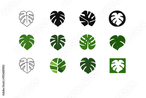Exotic plants. Icon set. Set Logo of Exotic plants: tropical leaf. harmonious logo variations of the same emblematic concept, each with different artistic