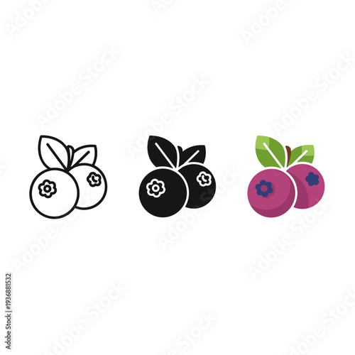 Blueberry Icon Set Fruit Nutrition Vector Style