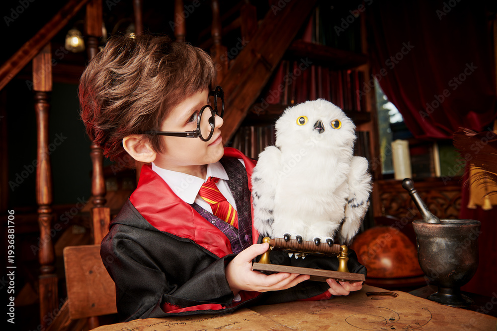 Fototapeta premium boy with owl