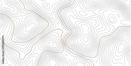 Abstract pattern with lines seamless pattern and topography.Abstract mountain terrain map background with abstract shape line texture. Design illustration for wall art, fabric, packaging, web, banner.