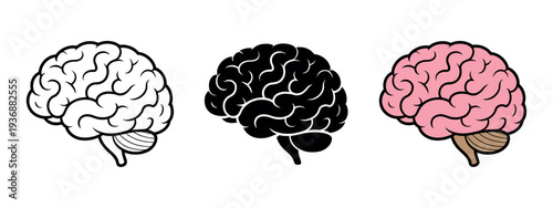 Brain Icon Vector Illustration Pack with Three Style Variants Including Outline, Glyph and Filled Outline Modern Design