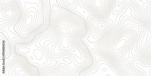 Abstract pattern with lines seamless pattern and topography.Abstract mountain terrain map background with abstract shape line texture. Design illustration for wall art, fabric, packaging, web, banner.