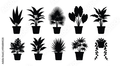 A collection of silhouetted tropical houseplants in black and white arranged in a grid high quality