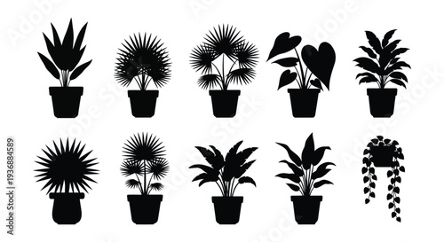 A collection of nine potted houseplants depicted as black silhouettes against a white background high quality