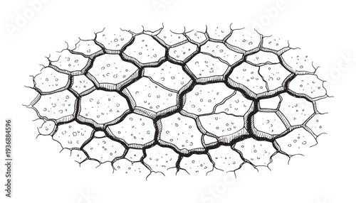 Cracked earth pattern vector illustration texture abstract background dry soil
