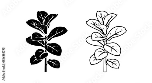 Fiddle Leaf Fig Plant Vector Icon Ficus Lyrata for Interior Design and Botanical Themes