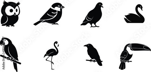 Collection of various bird species in black silhouette