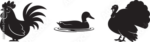 Black silhouettes of a rooster a duck and a hen on a white background