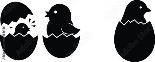 Three stages of a chick hatching from an egg in black silhouette
