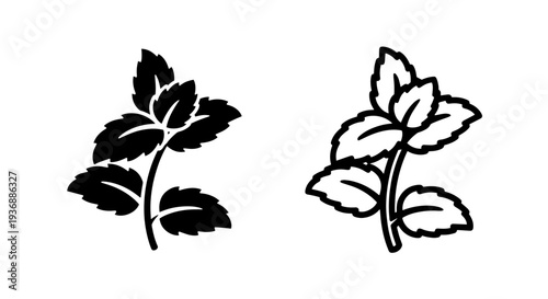 Fresh Mint Leaves Herb Plant Stem Icon Vector Design