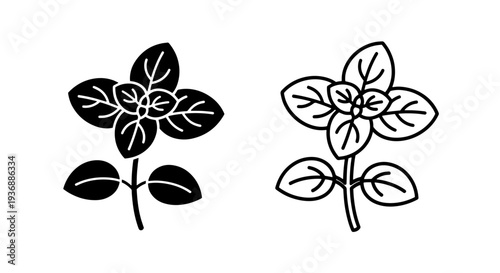Aromatic Basil Herb Plant Leaves Icon Vector Graphic