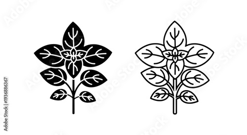 Fresh Aromatic Herb Plant with Many Leaves Icon Vector
