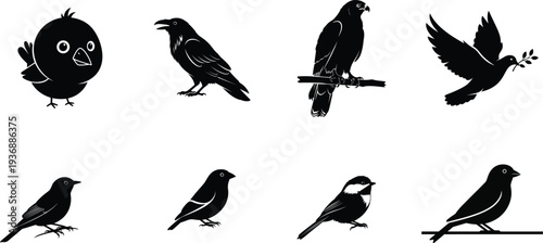 Collection of eight black silhouettes of various bird species in different poses