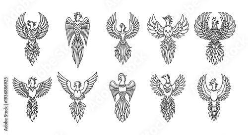 Collection of intricately detailed phoenix illustrations in black and white