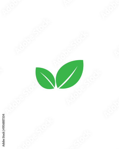 green leaf isolated on white