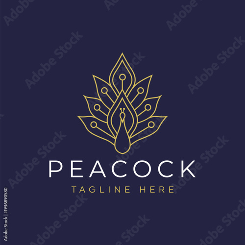 Elegant gold line-art peacock logo on a dark blue background