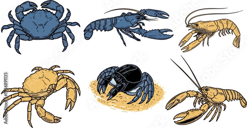 Vector illustration of crabs, lobsters, and shrimp in various poses