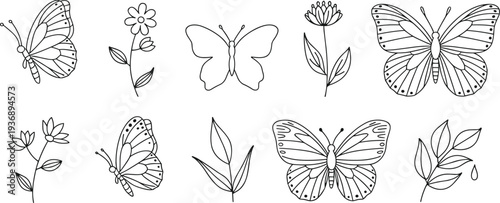 Hand Drawn Butterfly and Flower Line Art Collection