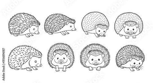 Collection of adorable hedgehog illustrations in various poses and styles
