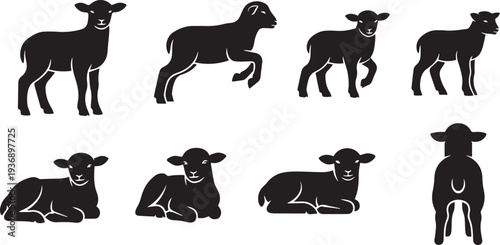 A collection of black silhouette illustrations depicting various sheep poses. The images showcase a lamb standing, a lamb grazing, and several lambs lying down.