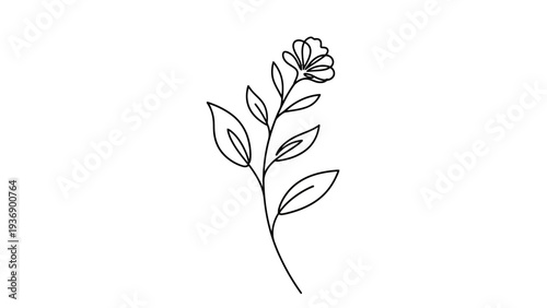 Minimalist single line drawing of a delicate flower with leaves on a white background