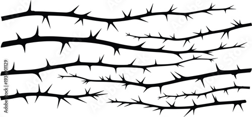 Thorny branch silhouettes set with sharp spikes and curved stems, black botanical thorn elements isolated on white background, natural danger plant design collection