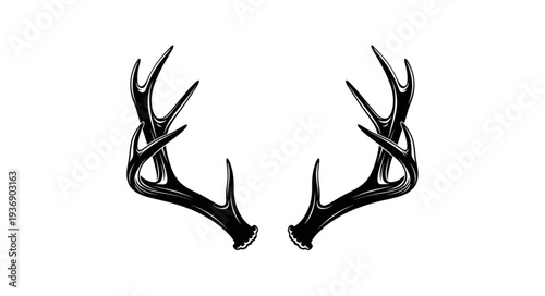 Detailed illustration of a pair of antlers, showcasing natures intricate design and beauty.