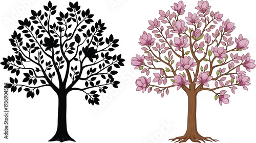 Blooming magnolia tree illustration, black silhouette and pink floral spring tree isolated on white background botanical vector design