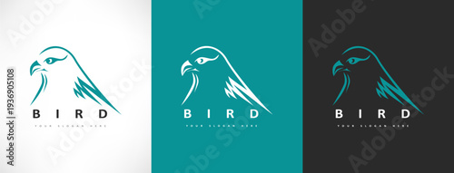 Bird logo vector. Bird in flight design