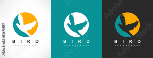 Bird logo vector. Bird in flight design