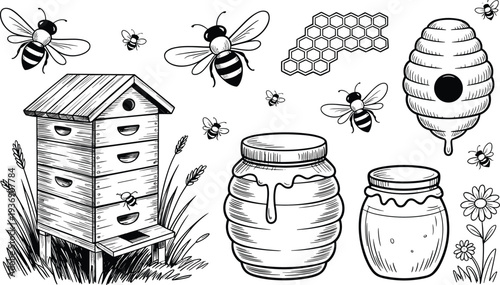 Beekeeping honey production set with hive, bees, honeycomb and jars, hand drawn vector illustration collection isolated on white background