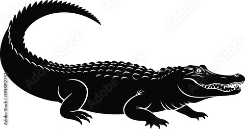 Alligator crocodile silhouette reptile predator wildlife animal vector illustration isolated dangerous swamp hunter design