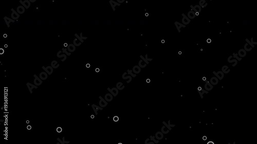 Bubbles on black background. loop