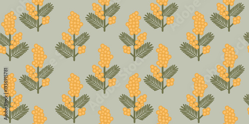 Seamless pattern with mimosa branches on light background. Stylized mimosa branches creates elegant surface for textiles and wrapping paper