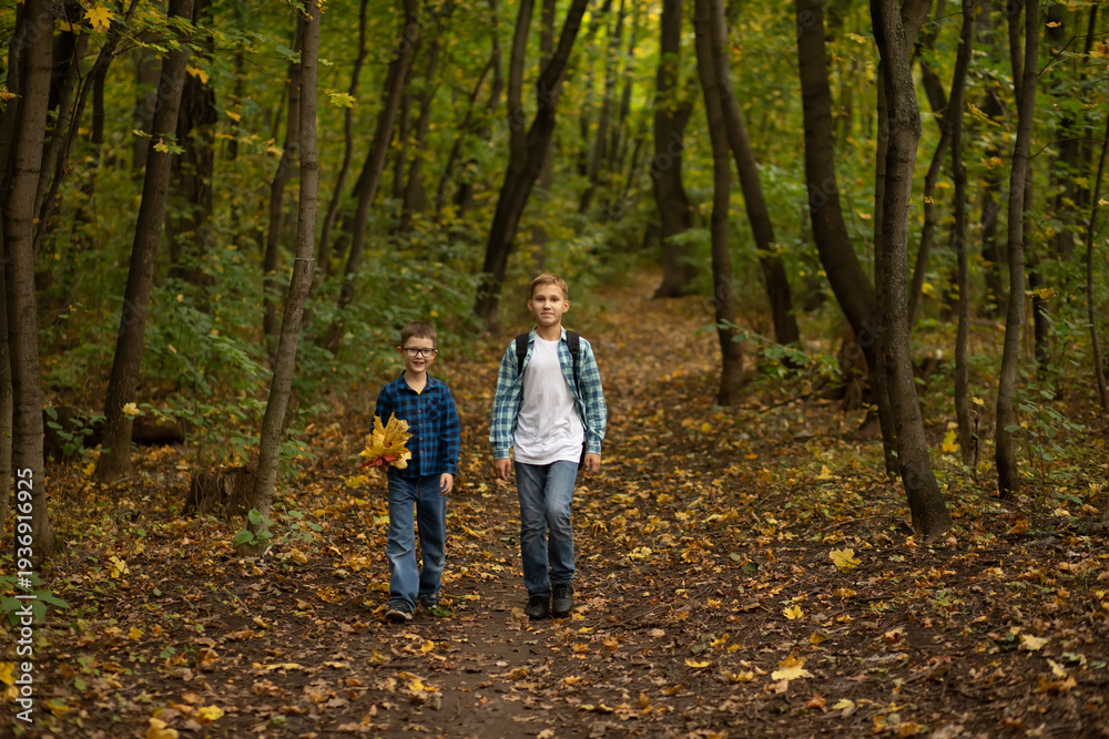 Fototapeta premium Two boys walking on a forest path in autumn, wearing casual clothes and backpacks, surrounded by trees and fallen leaves.