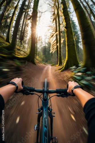 There is a person riding a bike on a dirt road in the woods