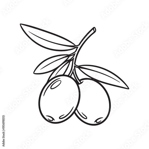 Two olives on a branch with leaves, detailed black and white line art, natural food element, ingredient for Mediterranean cuisine, simple design, healthy eating