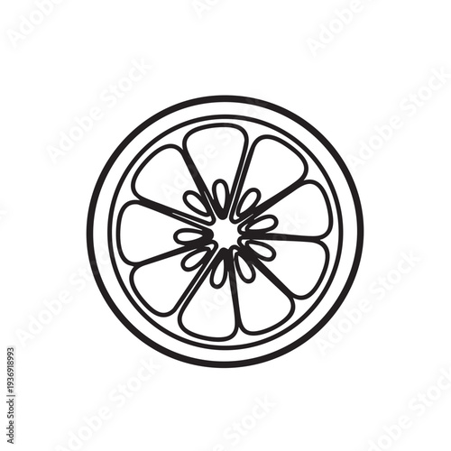 Cross section of citrus fruit, perhaps grapefruit or orange, showing segments and core, line art vector on white background