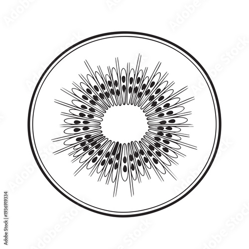 Kiwi slice illustration, tropical fruit, healthy food, natural organic, sweet refreshment, detailed line art, isolated on white background, summer vibes, exotic snack, deliciousness, circular design