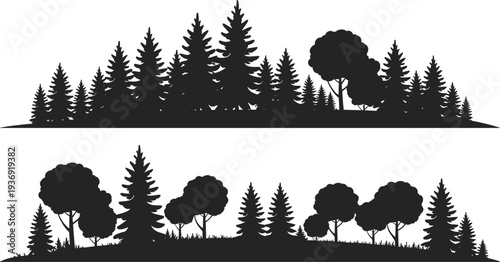 Forest landscape silhouettes with pine and deciduous trees on natural ground isolated on white background representing woodland scenery, nature environment and outdoor illustration