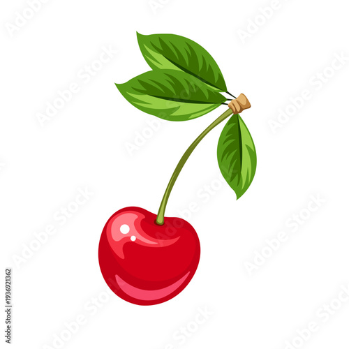 Juicy cherry illustrations isolated on white background 