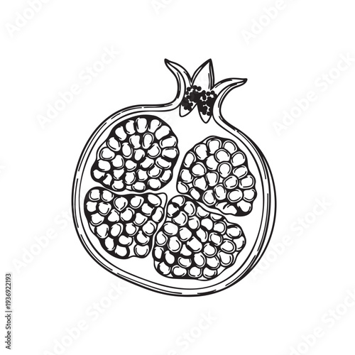 Black and white illustration of a halved pomegranate revealing its juicy seeds, symbol of fertility and abundance, isolated on white background