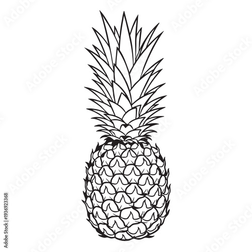 Detailed black and white line art illustration of whole pineapple, spiky crown and patterned rind, tropical fruit icon, vector graphic on white background, healthy food symbol