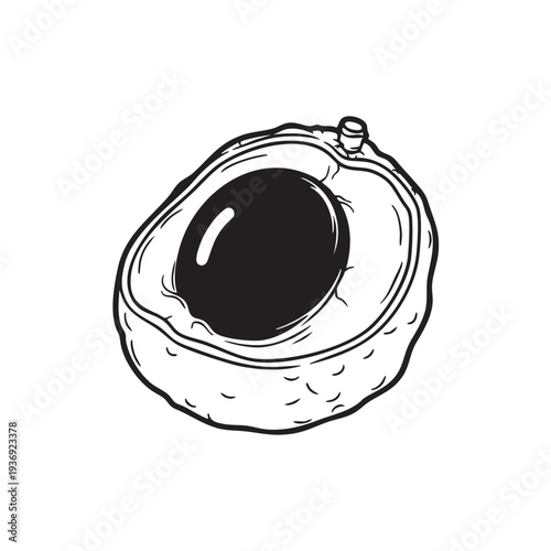 Black and white sketch of a halved lychee fruit, revealing juicy flesh and large seed, exotic tropical fruit illustration, simple vector art, isolated on white background