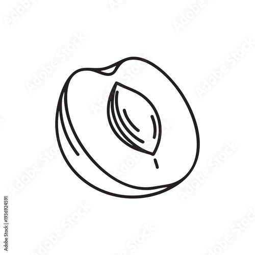 Single half apricot cross section sketch showing internal stone pit and organic texture in hand drawn outline vector illustration for botanical studies and culinary educational recipe graphics