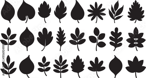 Black leaf silhouettes on white background plant