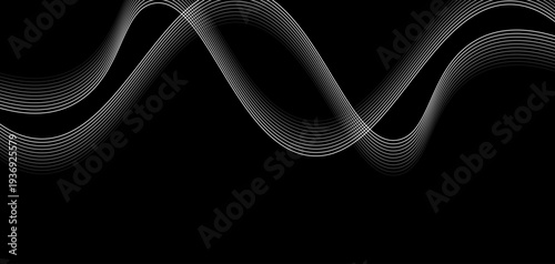 Abstract Futuristic Monochrome Wave Lines: A Series of Fluid White Curved Lines and Dynamic Sound Wave Patterns on a Minimalist Black Background for Digital Technology and Creative Design.