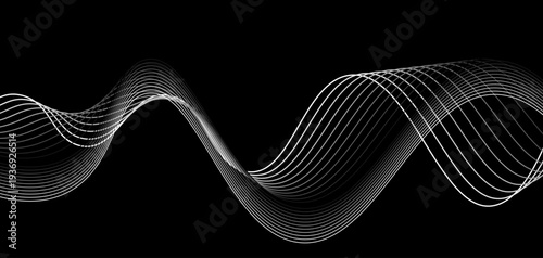 Abstract Futuristic Monochrome Wave Lines: A Series of Fluid White Curved Lines and Dynamic Sound Wave Patterns on a Minimalist Black Background for Digital Technology and Creative Design.