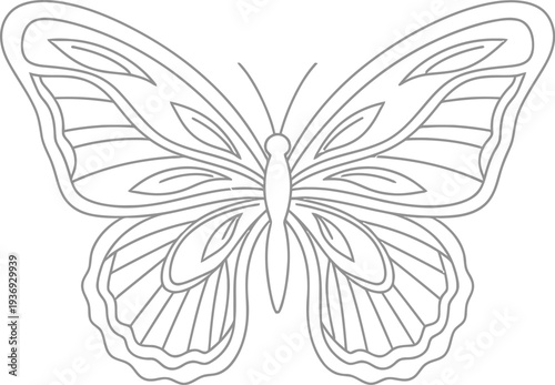 Beautiful symmetrical butterfly outline drawing perfect for coloring pages and simple decorative design projects
