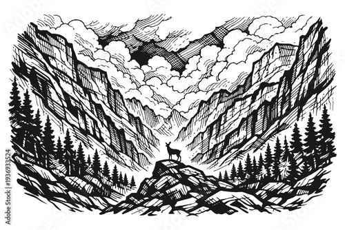 Lone Stag Standing on a Rock in a Deep Mountain Valley Vector Illustration, Hand Drawn Vintage Woodcut Style Featuring Wildlife in an Engraved Landscape.